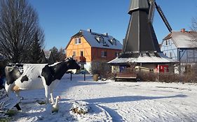 Beech Resort Fleesensee